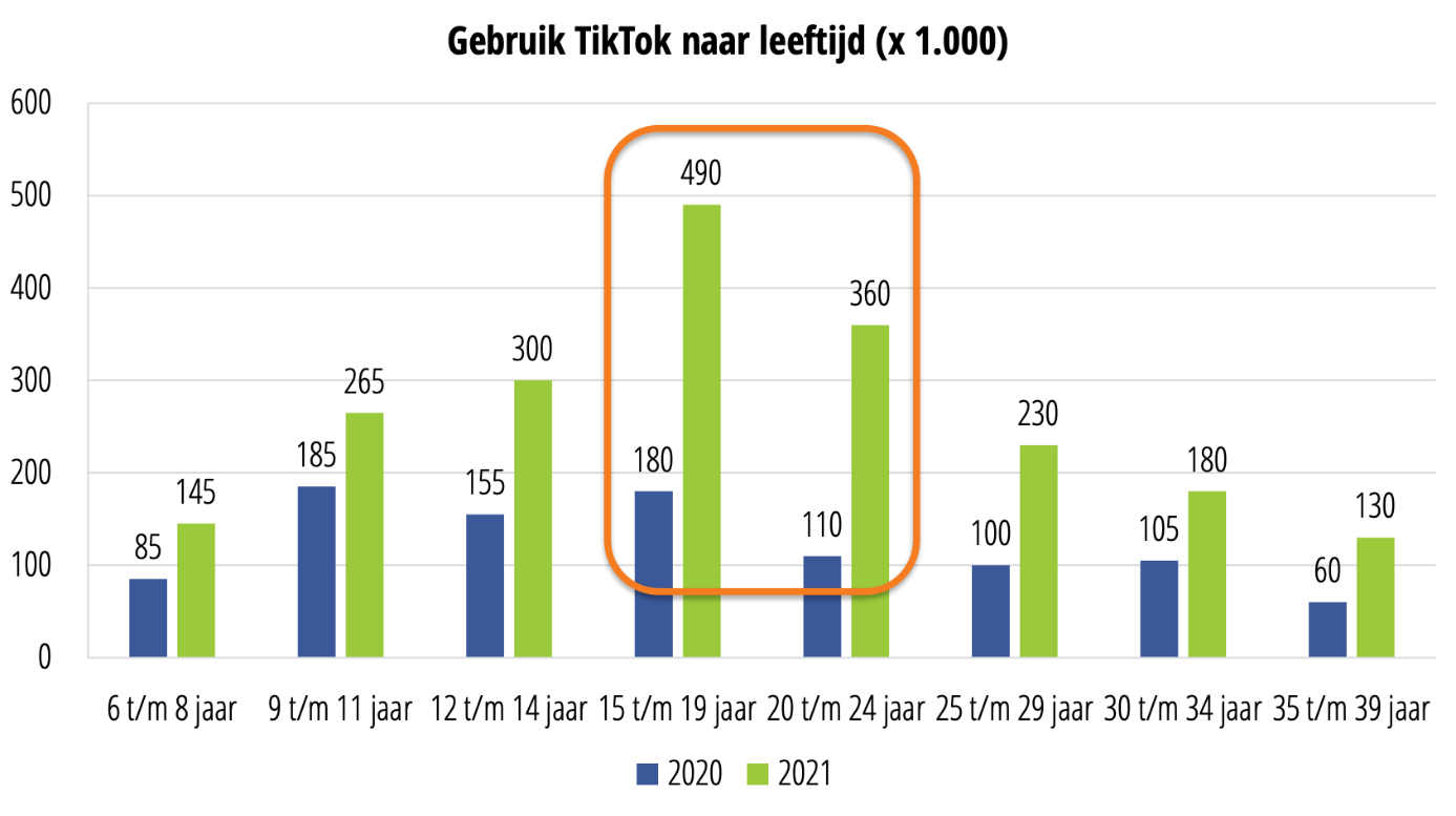 tiktok ads 1