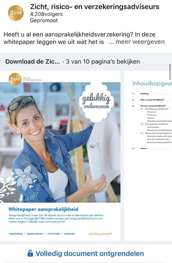 LinkedIn document ads voorbeeld